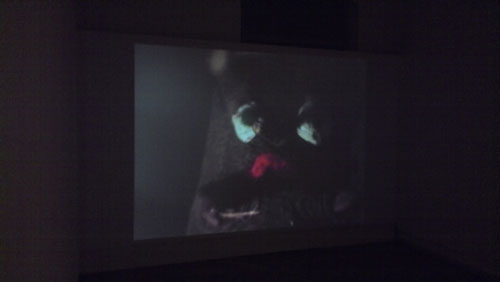 Foto: Fabian Graber, Ausstellungsansicht, Der Scheue Knig, 2015, Kunstverein Bamberg, Villa Dessauer, Arbeit:  Fabian Graber: "Getriebene Tanne", Stop-Motion-Video, 2015